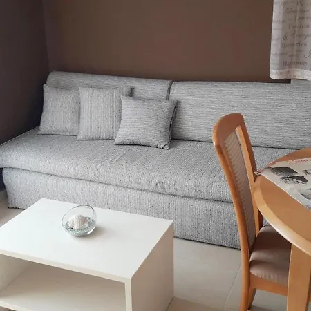 One-bedroom In Pula/istrien 17492 *